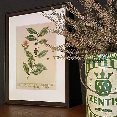 Zeller Kehr Appartement Zell