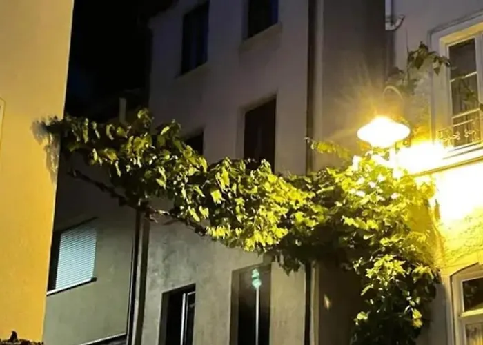 Zeller Kehr 公寓 摩泽尔河畔的泽尔