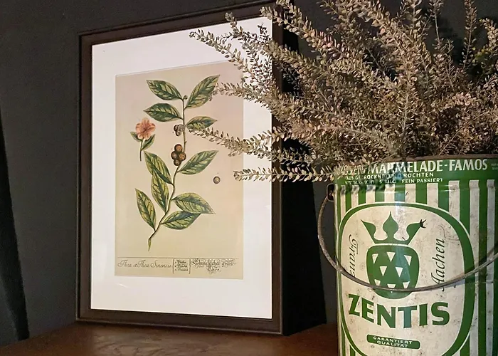 Zeller Kehr Appartement Zell